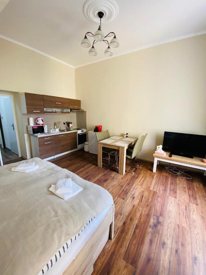 Apartman Diana Apartment Karlovy Vary Bagian luar foto